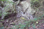P1750396