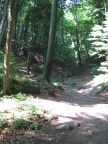 img 9078