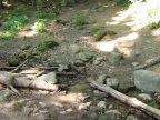 img 9079