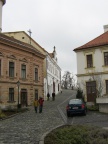 IMG 4617