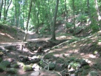 img 9075