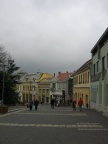 IMG 4605