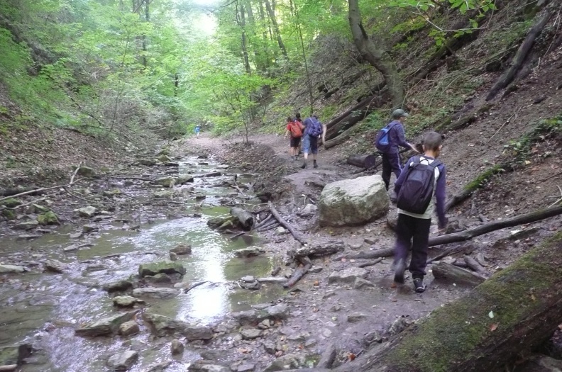 P1750225.JPG