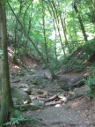 img 9080