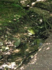 img 9070