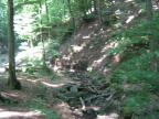 img 9077