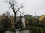 IMG 4602