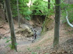 P1000446