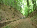 P1110191