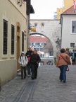 IMG 4629