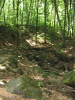 img 9074