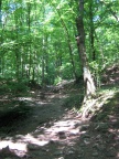 img 9069