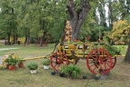 IMG 8876