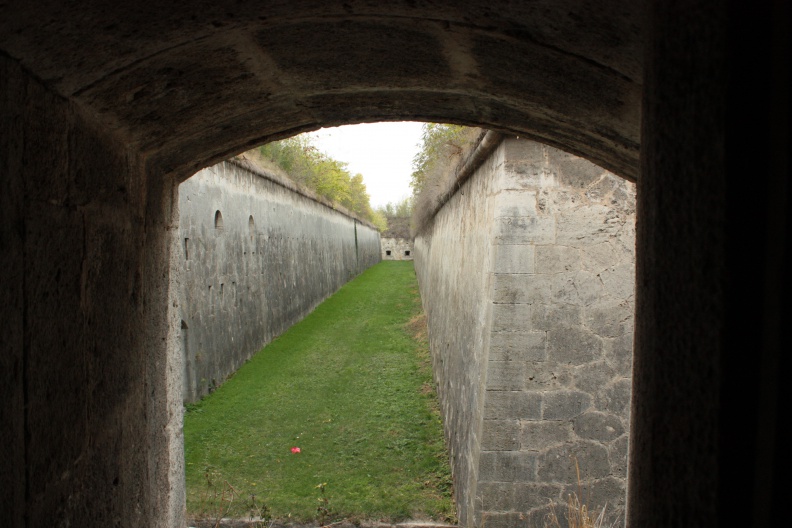 IMG_5243.JPG