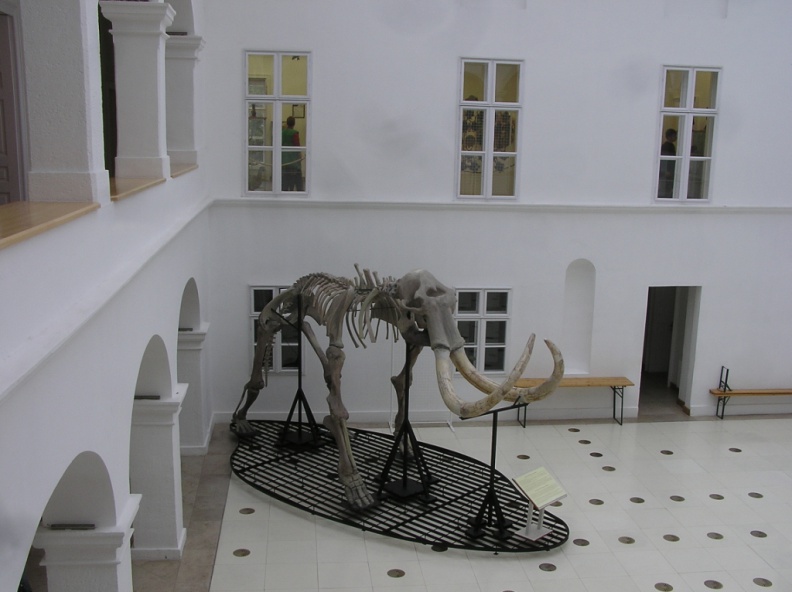 0016454 - 0016454.JPG 0016454.JPG