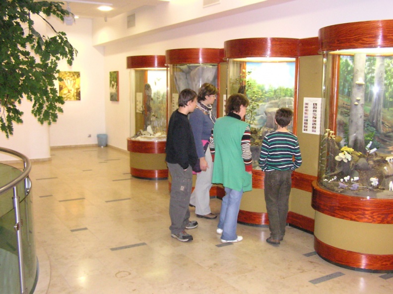 0016462 - 0016462.JPG 0016462.JPG