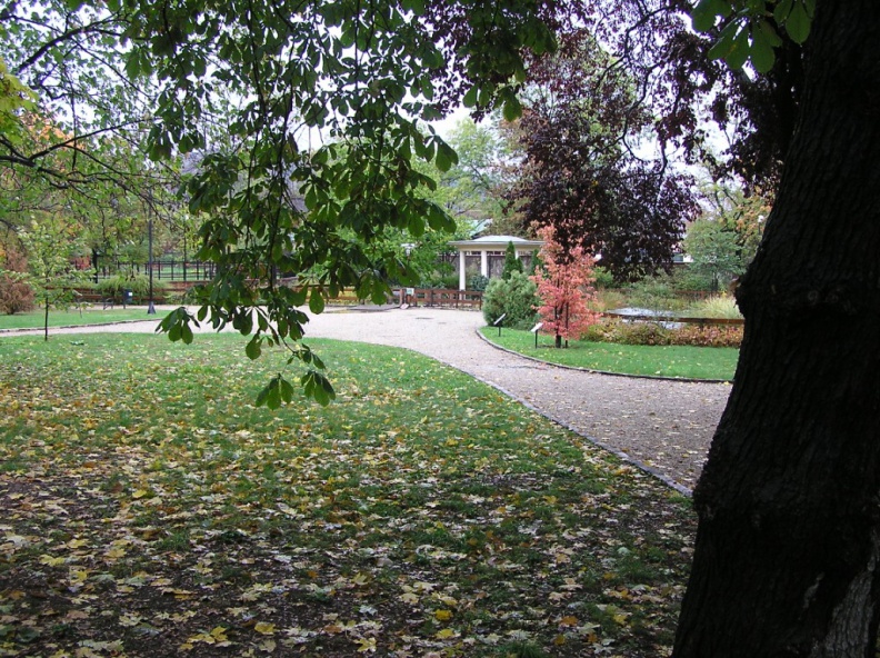 0016470.JPG