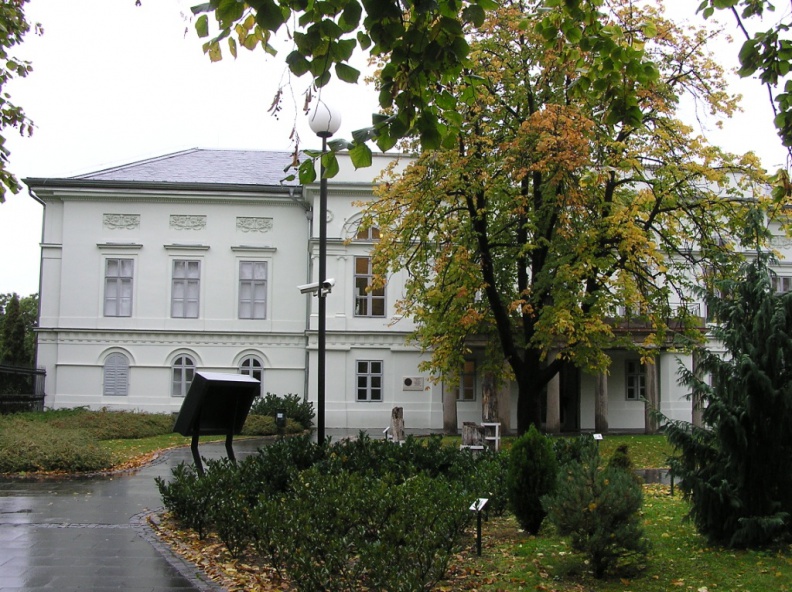 0016472.JPG