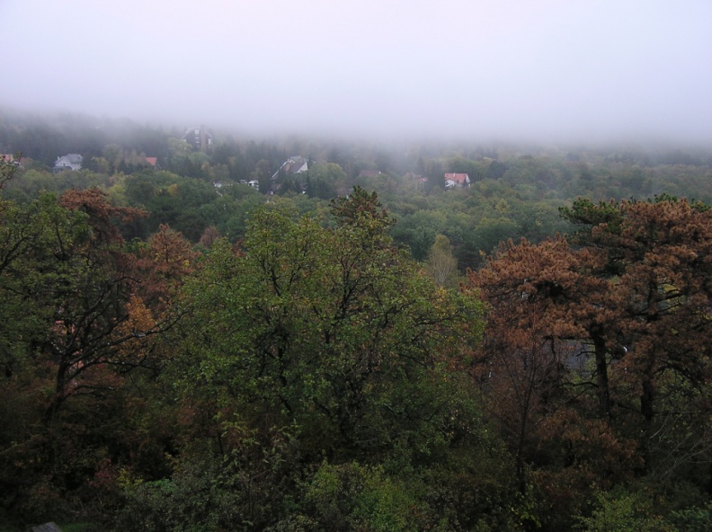 0016486.JPG