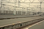 IMG 6408