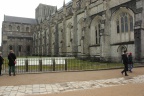 IMG 6478