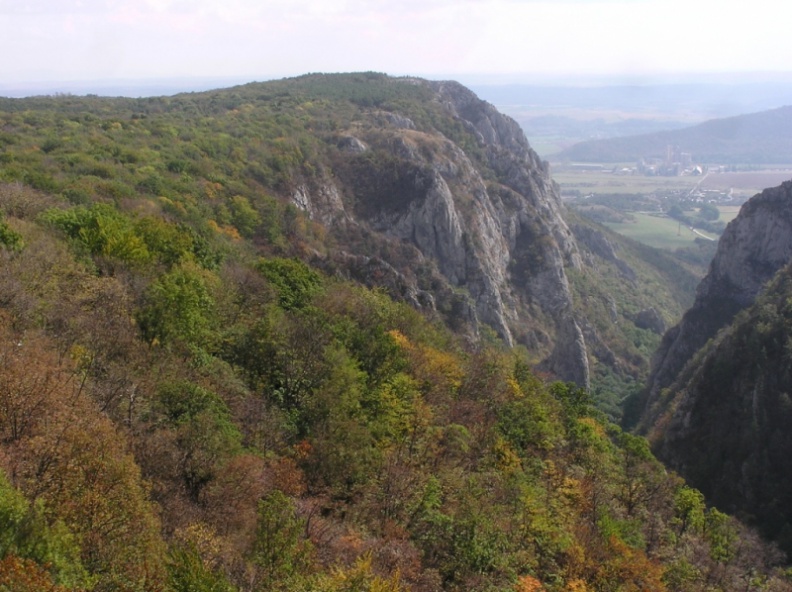 0017418 - 0017418.JPG 0017418.JPG