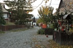 IMG 3197