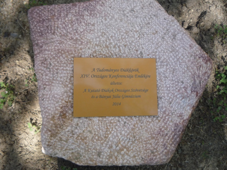 119 - 119.JPG 119.JPG