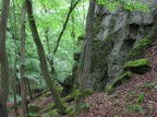 P5113235