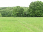 P5113247