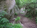 P5113270
