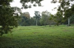 IMG 5681