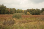 IMG 5757