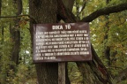 IMG 5760