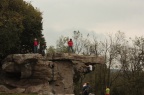 IMG 5780