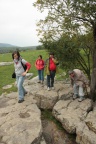 IMG 5782