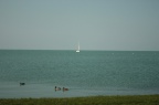 IMG 5854