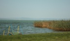 IMG 5919