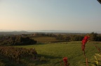 IMG 5939