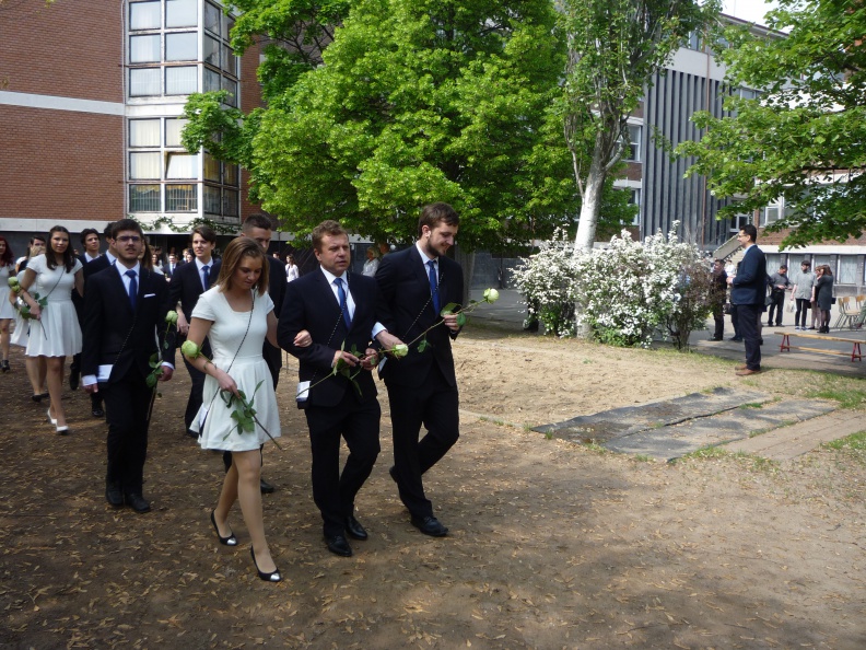 213 - 213.JPG 213.JPG