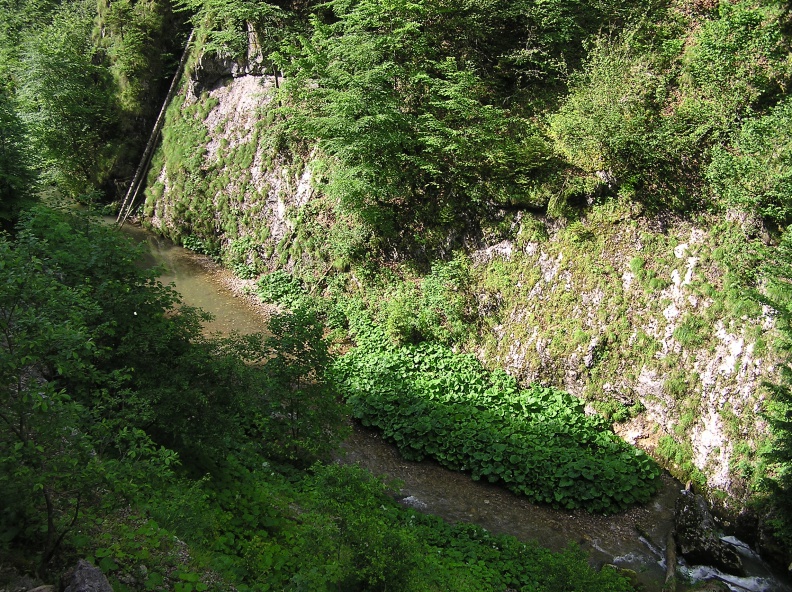 0026483 - 0026483.JPG 0026483.JPG