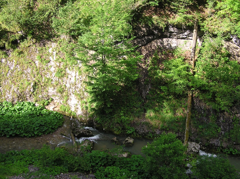 0026484 - 0026484.JPG 0026484.JPG