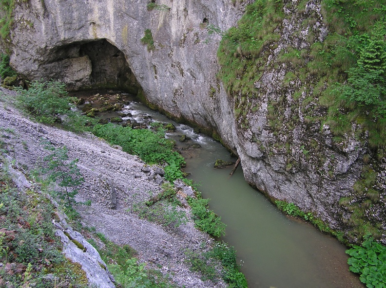 0026485 - 0026485.JPG 0026485.JPG