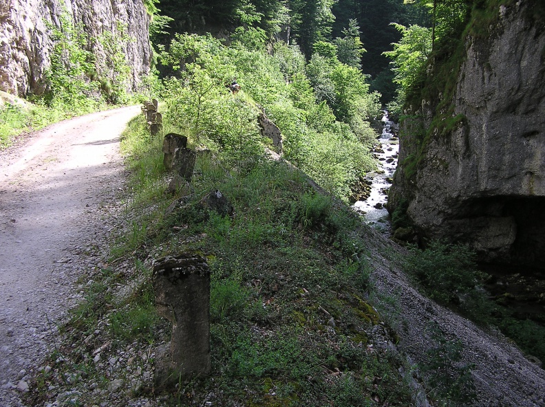 0026486 - 0026486.JPG 0026486.JPG