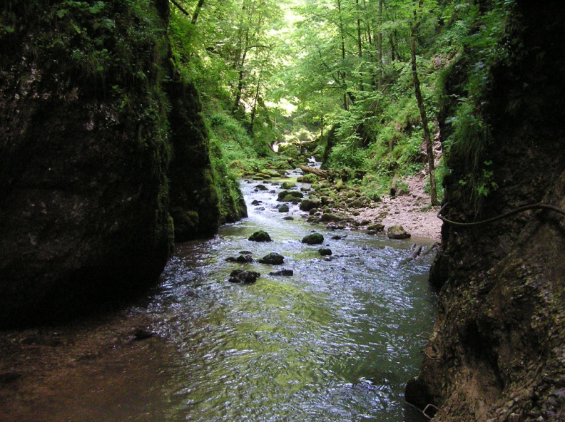 0026489 - 0026489.JPG 0026489.JPG