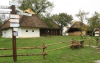 IMG 0675