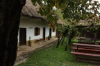 IMG 0682