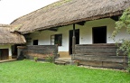 IMG 0718