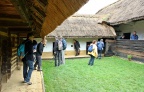 IMG 0729