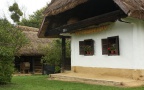 IMG 0739
